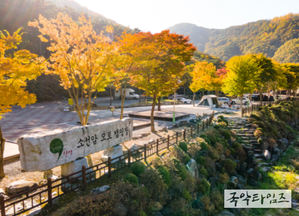 소선암오토캠핑장 단풍