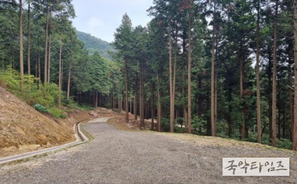 김해시 곳곳 숨은 편백숲 인기-생림 윗나전 편백숲길