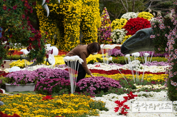 해남미남축제 12~14일 열려, 해남의 맛과 멋을 즐기세요