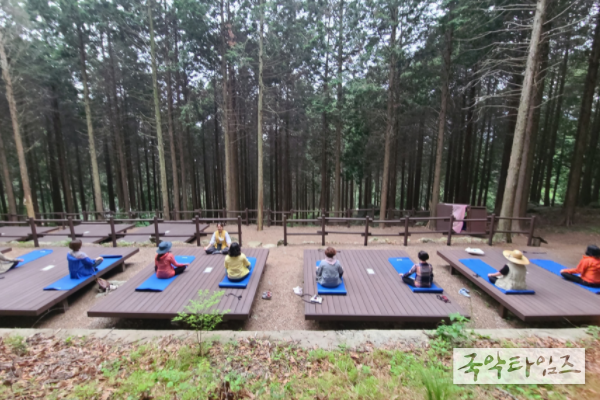 창원시, ‘편백 치유의 숲’ 산림치유프로그램 운영