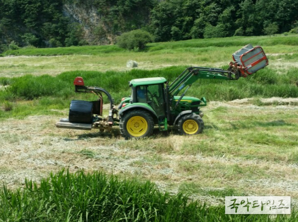 조사료생산 확대로 축산업 생산기반 확보와 코로나 여파 속 조사료 지원 확대