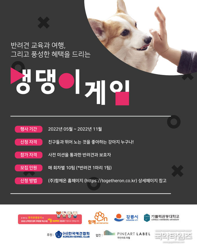 댕댕이 교감게임 포스터
