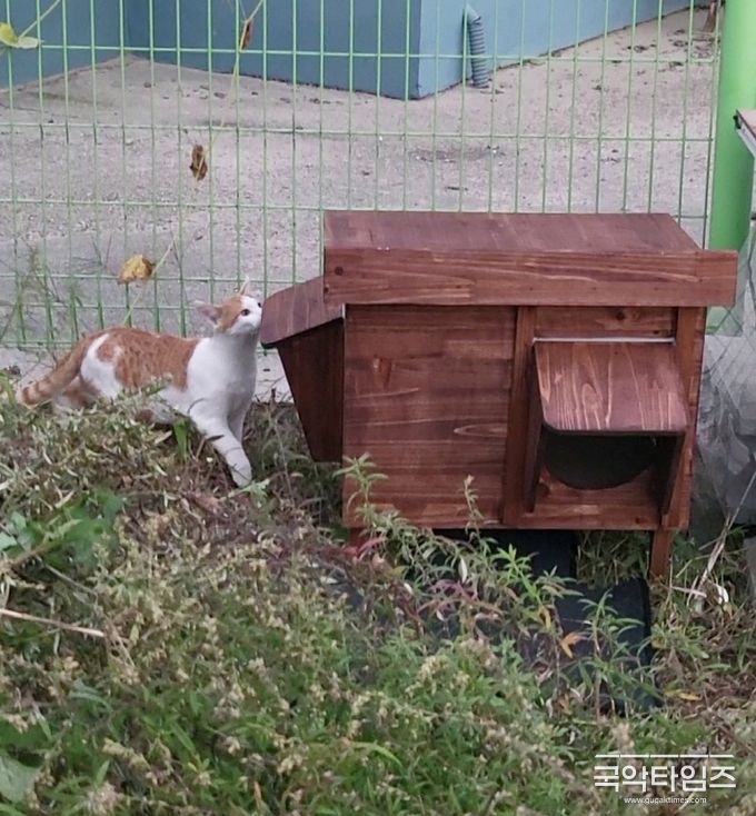 동천리 길고양이 겨울집 및 급식소