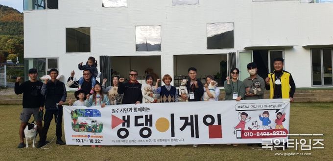 원주시 댕댕이 게임