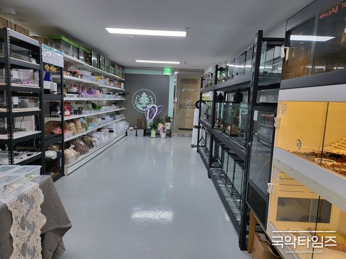 파충류샵더숲