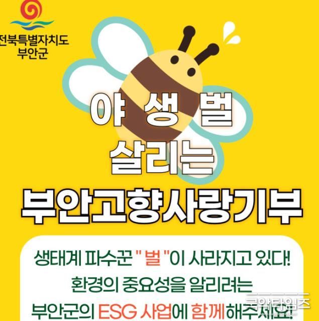 부안군, 야생벌 보호 ESG사업 고향사랑 지정기부 모금 추진