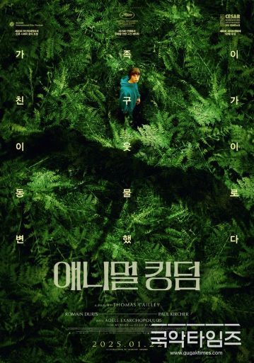 애니멀 킹덤