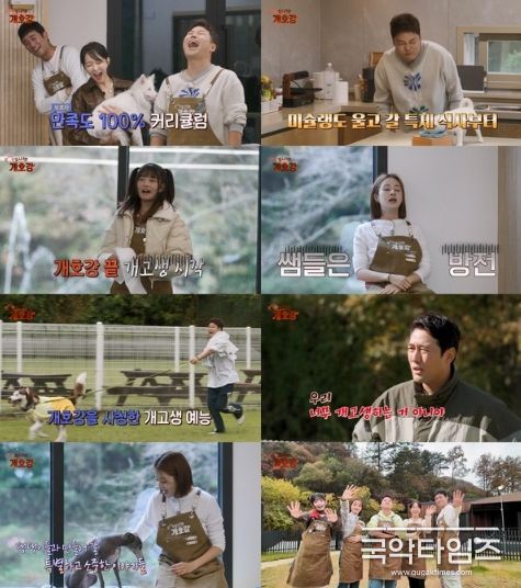 (사진 제공 = JTBC ‘집 나가면 개호강’)
