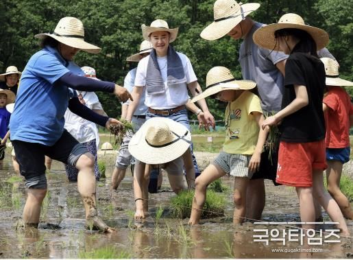 오언석 도봉구청장과 구민들이 전통 손 모내기 체험을 하고 있다